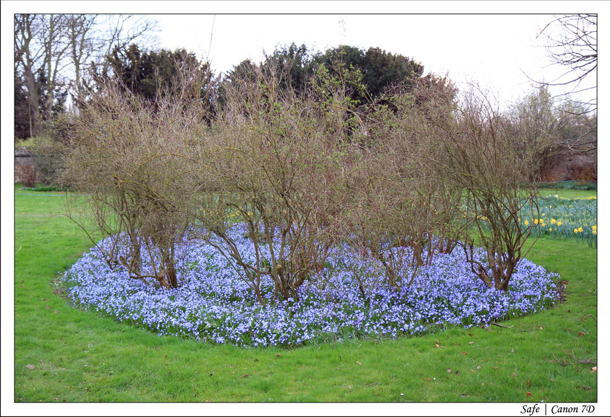 2011 - 03 - Cambridge 094